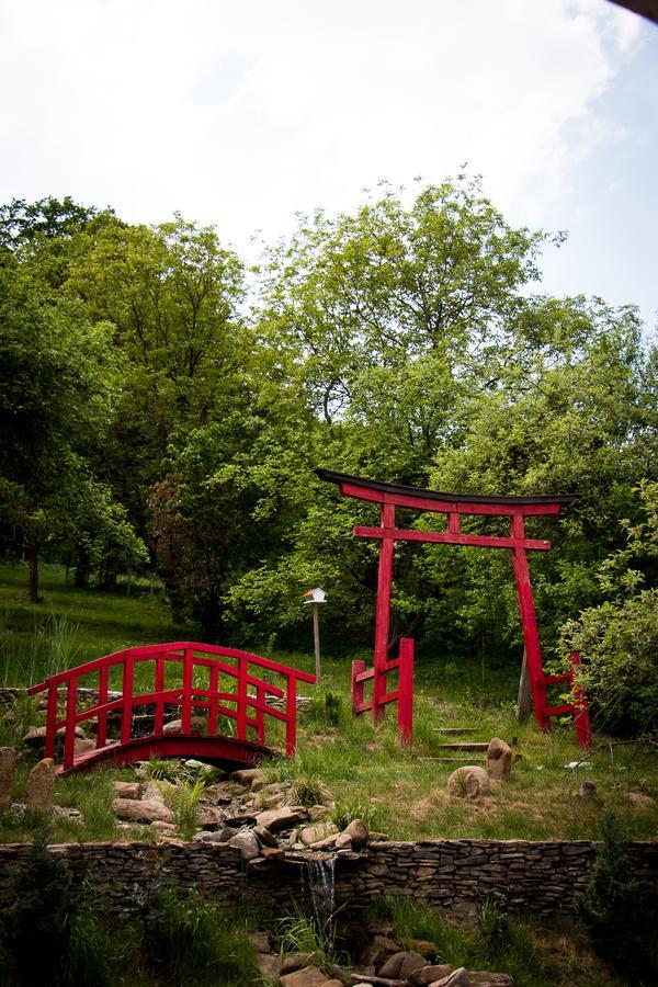 Casa Lily - Japanese Retreat Hotel Sighisoara Luaran gambar