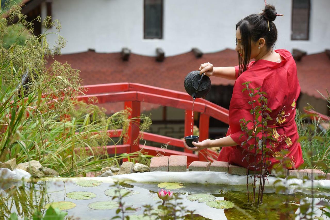 Casa Lily - Japanese Retreat Hotel Sighisoara Luaran gambar